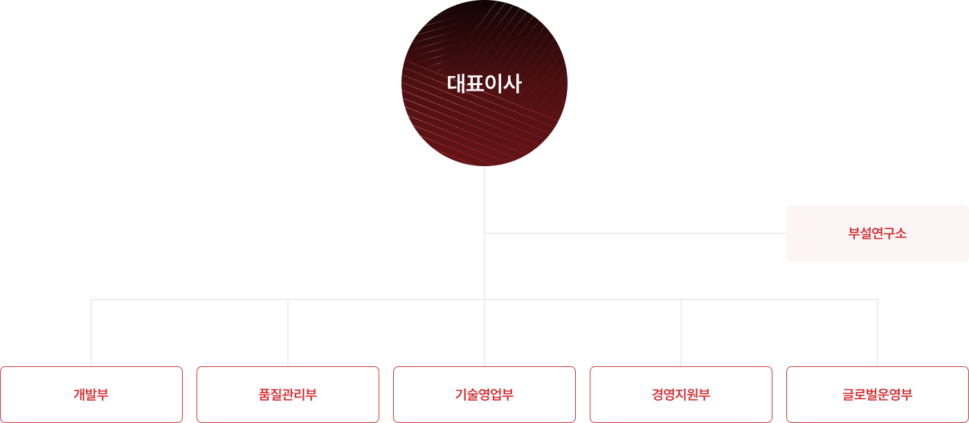 대표이사 부설연구소 개발부 품질관리부 기술영업부 경영지원부 글로벌운영부